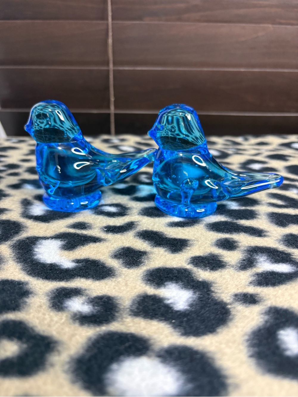 Bluebirds of Happiness - pair